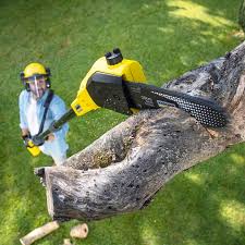 Best Pest Control for Lawns  in Port Charlotte, FL