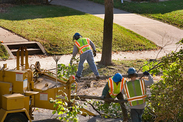 Best Firewood Processing and Delivery  in Port Charlotte, FL